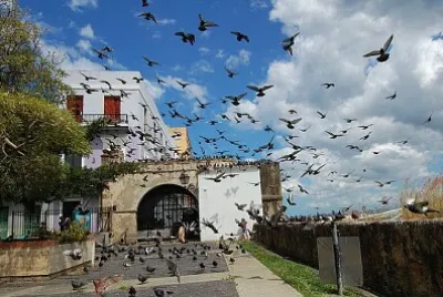PARQUE DE LAS PALOMAS jigsaw puzzle