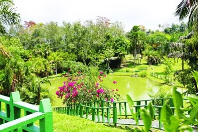 JARDIN BOTANICO jigsaw puzzle
