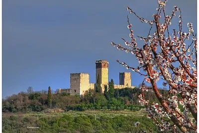 verona primavera a Montorio jigsaw puzzle