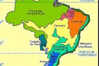 Vegetação e Mapas