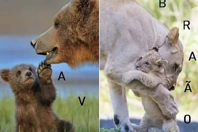 quem é?