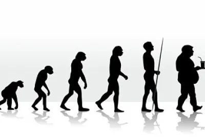 evolução