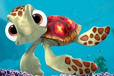 Tortuga