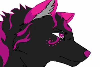 wolf painting
