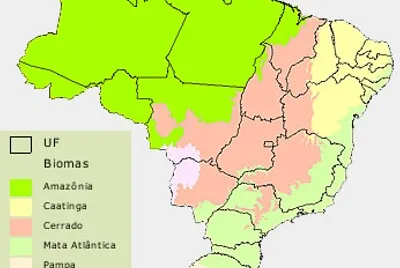 Biomas Brasileiros