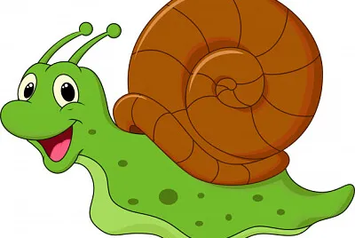 rompecabezas caracol jigsaw puzzle