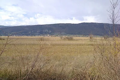 Erlach ile St-Pierre 2