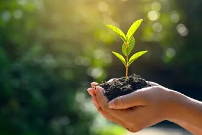 פאזל של ecologia en casa