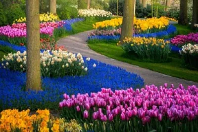 JARDIM 4