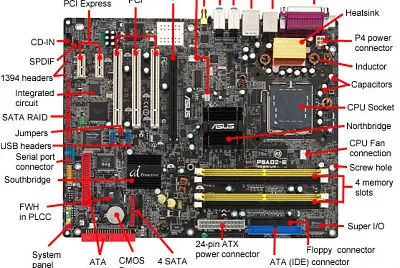 Placa base