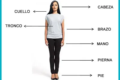 פאזל של EL CUERPO HUMANO 1