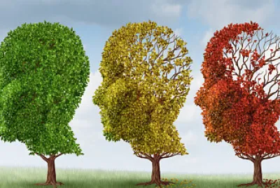 פאזל של estaciones ecológicas