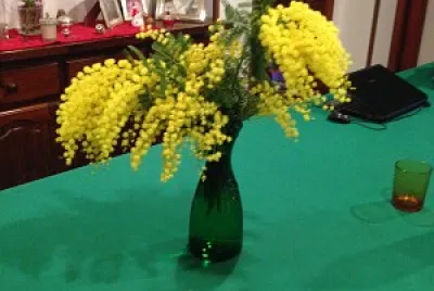 fiori