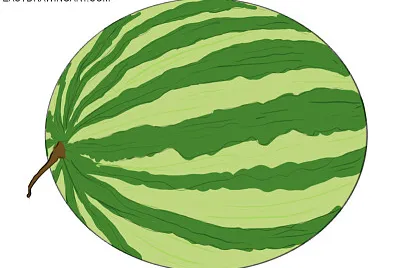watermelon