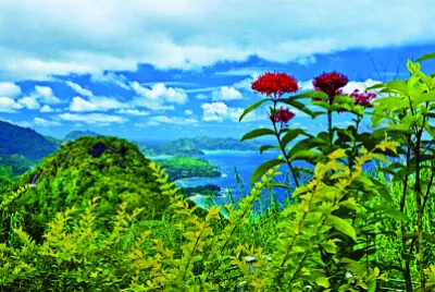 風景 jigsaw puzzle