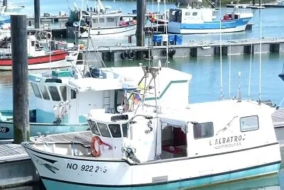 Noirmoutiers