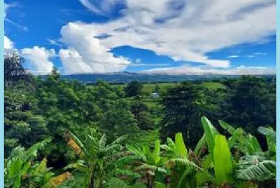 BELLEZA DE LA NATURALEZA jigsaw puzzle