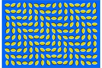 פאזל של Perceptual Illusion 1