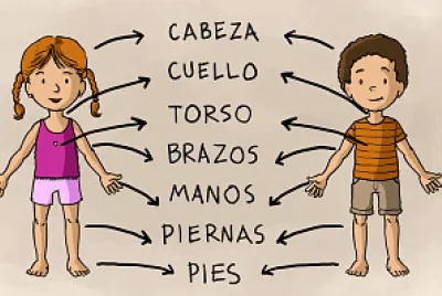 Cuerpo humano