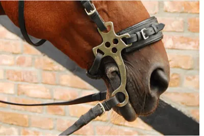 Caballo