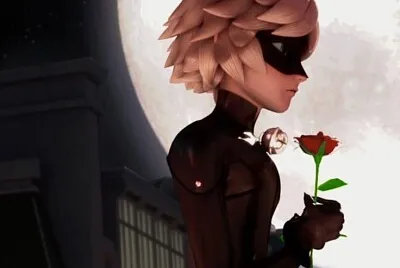 love ladybug
