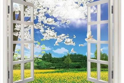 imagem