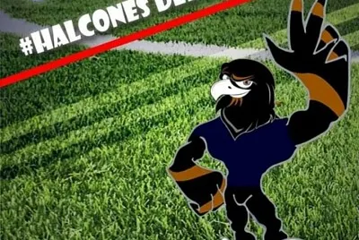 Halcones Futbol
