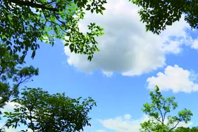 風景 jigsaw puzzle