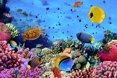 FUNDO DO MAR jigsaw puzzle