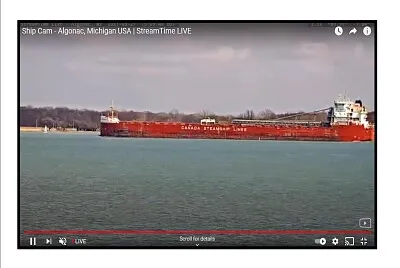 Whitefish Bay passing by Algonac MI jigsaw puzzle