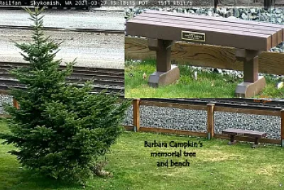 Barbara’s tree and memorial bench  Skyomish,WA/USA