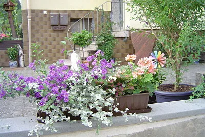 Blumen