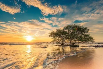sunset