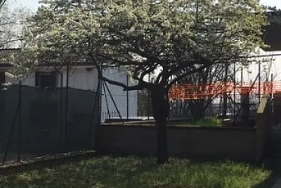 ALBERO SCUOLA