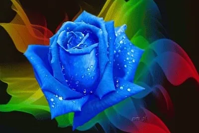 Foto jigsaw puzzle
