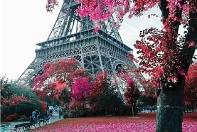 pink paris jigsaw puzzle