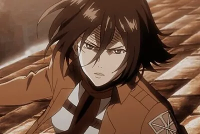 mikasa