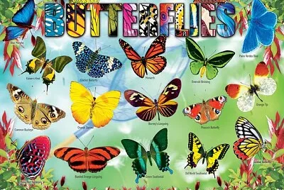 Animal Puzzle