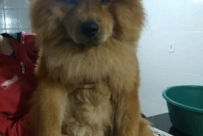 minha foto
