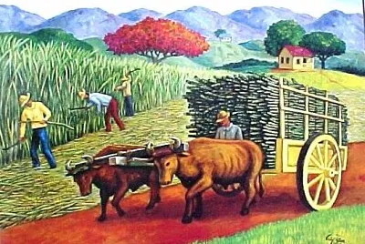 EL CAÑABERAL jigsaw puzzle