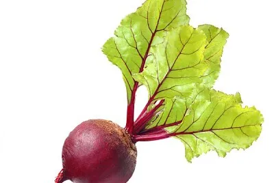 Alimentação Saudável