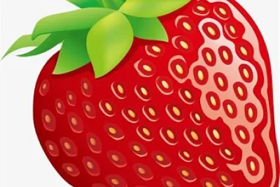 Alimentação Saudável