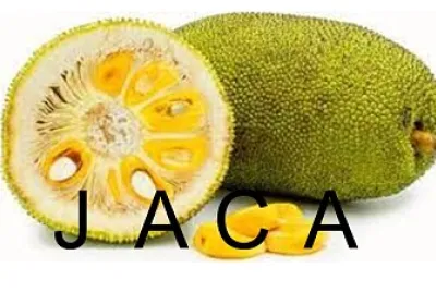 LETRA J