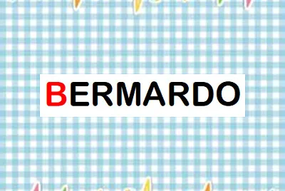 BERNARDO ANDRADE