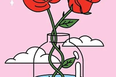 rosa