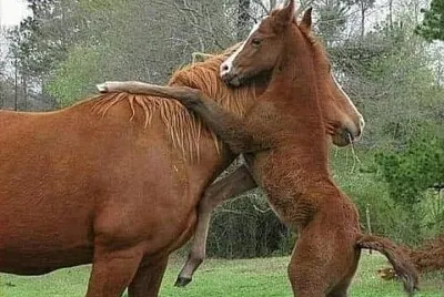 134