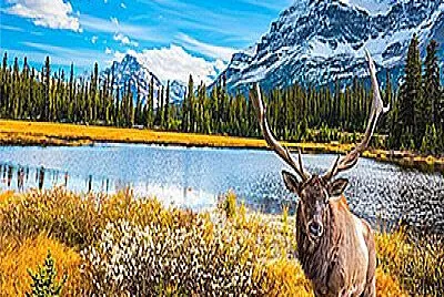 BELLO LUGAR DE CANADA jigsaw puzzle