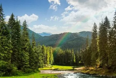 relajante jigsaw puzzle