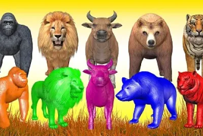 Animal Puzzle
