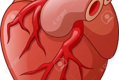 rompecabezas